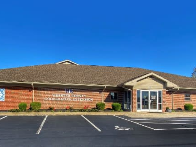 Untitled design (17)