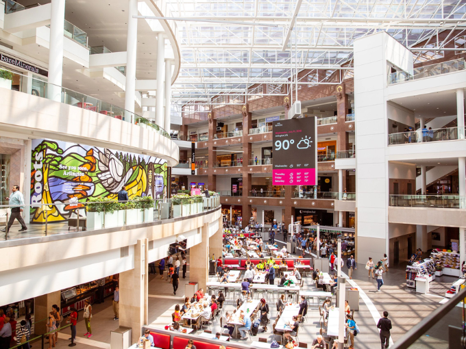 Untitled design (24)